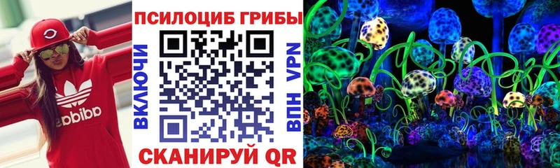 наркотики  Ак-Довурак  mega ссылки  Псилоцибиновые грибы мухоморы 